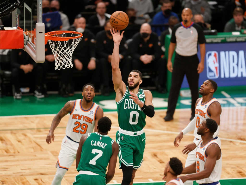 进攻组织被 进攻组织被