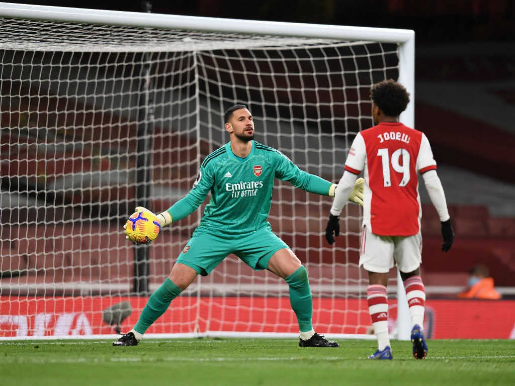 了广泛关注 了广泛关注