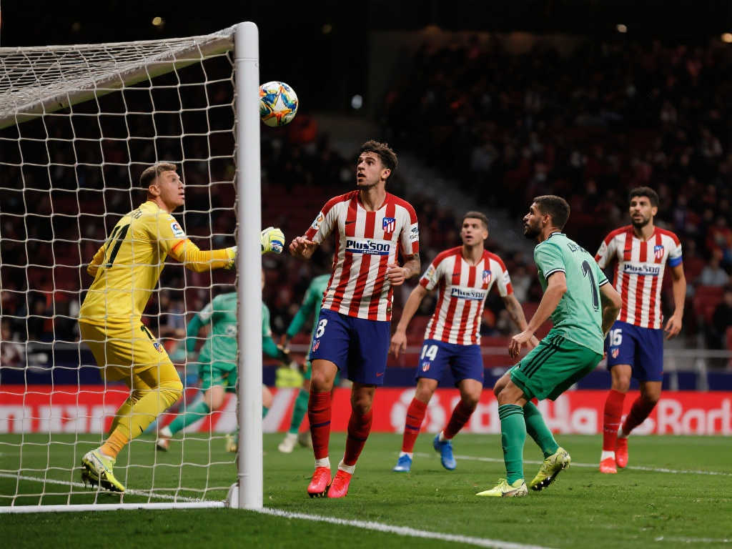 经验无疑为 经验无疑为